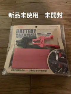 エーモン工業 12v車用 バッテリーバックアップ