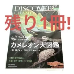 ディスカバリー カメレオン大図鑑