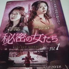秘密の女たち 韓国ドラマDVD全巻