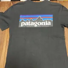 パタゴニア　tシャツ　ブラック