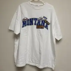 INGNI半袖オーバーサイズTシャツ