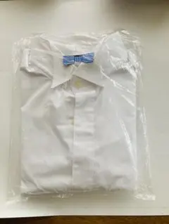 Item thumbnail for item 0fd509ce-c30e-4f52-b985-7e312fc6da5f