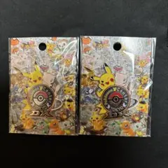 ポケモンセンター トウキョーDX ミュウロゴピンズ ピカチュウ　2個セット
