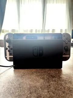 Nintendo Switch 本体 グレー ドック接続