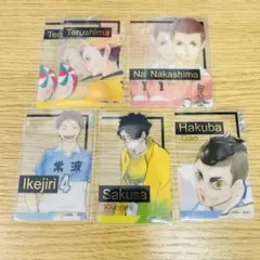 ハイキュー 箔押しクリアカードコレクション