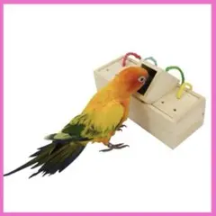 Item thumbnail for item 42b89ba5-75a3-49fa-8607-68b0e50f8c31