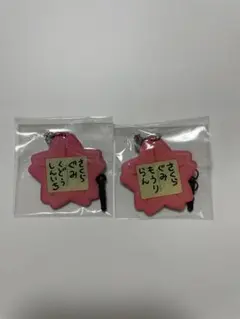 (エ) 名探偵コナン　コナン　毛利蘭　工藤新一　2点セット　メタルチャーム