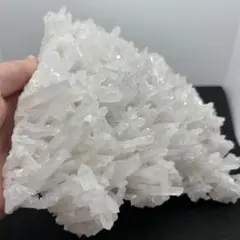 ◯355 水晶クラスター 特大◯