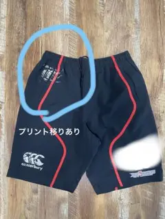 HINO Canterbury ハーフパンツ XL Red Dolphins