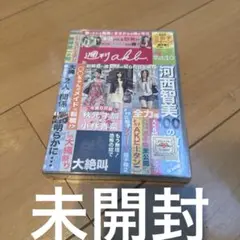 週刊akb Vol.10