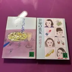 田辺聖子 著作 2冊セット