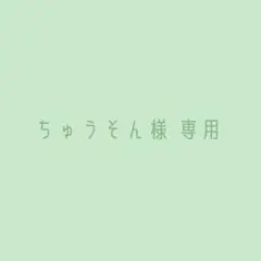 専用ページ