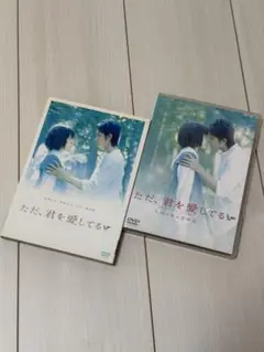 ただ、君を愛してる　DVD2枚セット