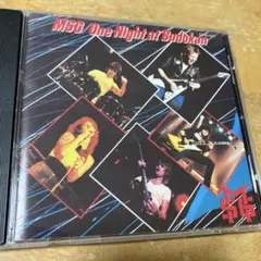 マイケル・シェンカー・グループ／飛翔伝説～MSG武道館ライヴ