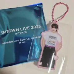 SMTOWN LIVE ランダムアクキー　　　ソンチャン