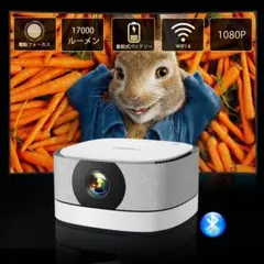Item thumbnail for item d01b8c0b-4614-465a-93d4-c911021112dc