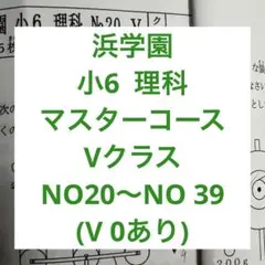 2021年度 浜学園 小６ 算数マスター2nd演習プリント Vクラス 浜学園 小6 2022年 公開 記述力錬成 確認テスト 算数2nd演習プリ