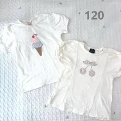 プティマイン　120 Tシャツ　2枚セット