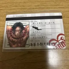 ぱろでぃーずポートガス・D・エース 特別カード(5)