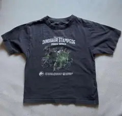 GLOBAL WORK ジュラシック・ワールド Tシャツ ２枚　130