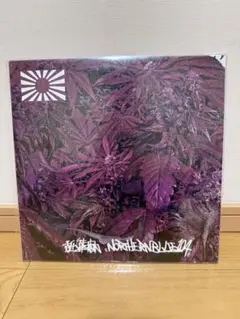 2025年最新】northernblueの人気アイテム - メルカリ