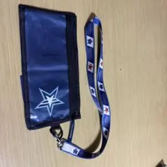 横浜DeNAベイスターズ　チケットホルダー