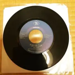 宏SAN (アキソル＆ナンジャマン)　Precious Ting