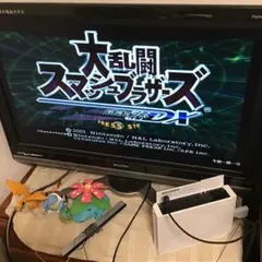 大乱闘スマッシュブラザーズ DX ゲームキューブ　起動確認済み
