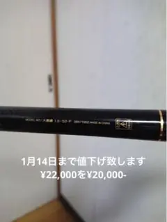 ダイワ(Daiwa) 磯竿 スピニング 大島 1.5-53 美品