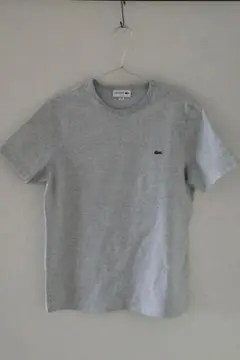 LACOSTE グレー Tシャツ Mサイズ