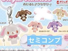 シュガーバニーズめじるしアクセサリー　5種