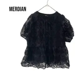 MERDIANメリディアン　半袖レース刺繍チュニックトップス　リボン　ロリータ