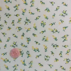 ヴィンテージフィードサック1/8サイズf297