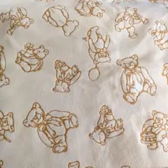 Item thumbnail for item 72936fad-4e19-4d9a-8861-77c08bea576a