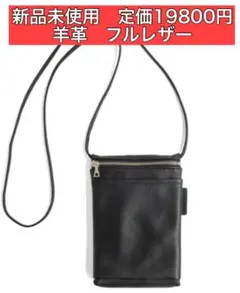 Item thumbnail for item 72e1d57b-5f3d-460f-815f-c23b33c33373