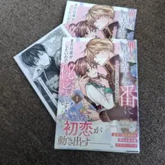 麗しの皇帝陛下の番に選ばれてしまったのですが、まだ仕事がしたいので秘密です! 1