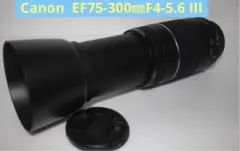 Item thumbnail for item 7670d848-4bb3-45e1-ba17-811e21eb5a02