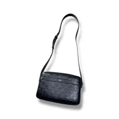 Item thumbnail for item 4969f394-11ed-4cd3-bf6d-e2c734388d30