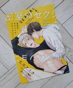 ㉕ 三川ケイヤ 密室のセクシャル・アディクション アニメイト リーフレット