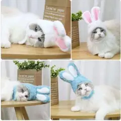 Item thumbnail for item 2e63a144-f4d8-4f50-84f4-9e9706b0c91f