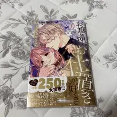 お嬢様はお仕置きが好き 10