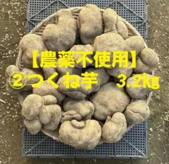 2025年最新】つくね芋 種芋の人気アイテム - メルカリ