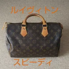 ルイヴィトン スピーディ 30cm