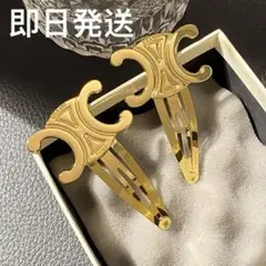 【匿名発送】ヘアアクセサリー　ヘアピン2つ