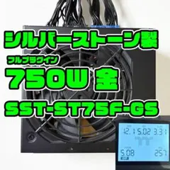 750W 80PLUS ゴールド シルバーストーン製 フルプラグイン ATX電源