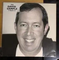 PSG David Sample 12インチ　レコード PSG 