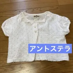 最終価格 アントステラ ボレロ 半袖カーディガン