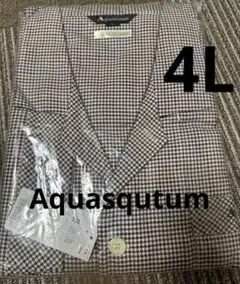 Item thumbnail for item 670d2a42-f454-4b29-a46a-d88d81d55517