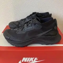 美品 24cm NIKE W PEGASUS TRAIL 3 GTX