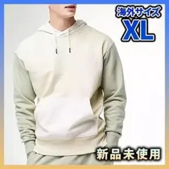 ノースフェイス カラーブロック 長袖パーカー プルオーバー メンズ 2XL